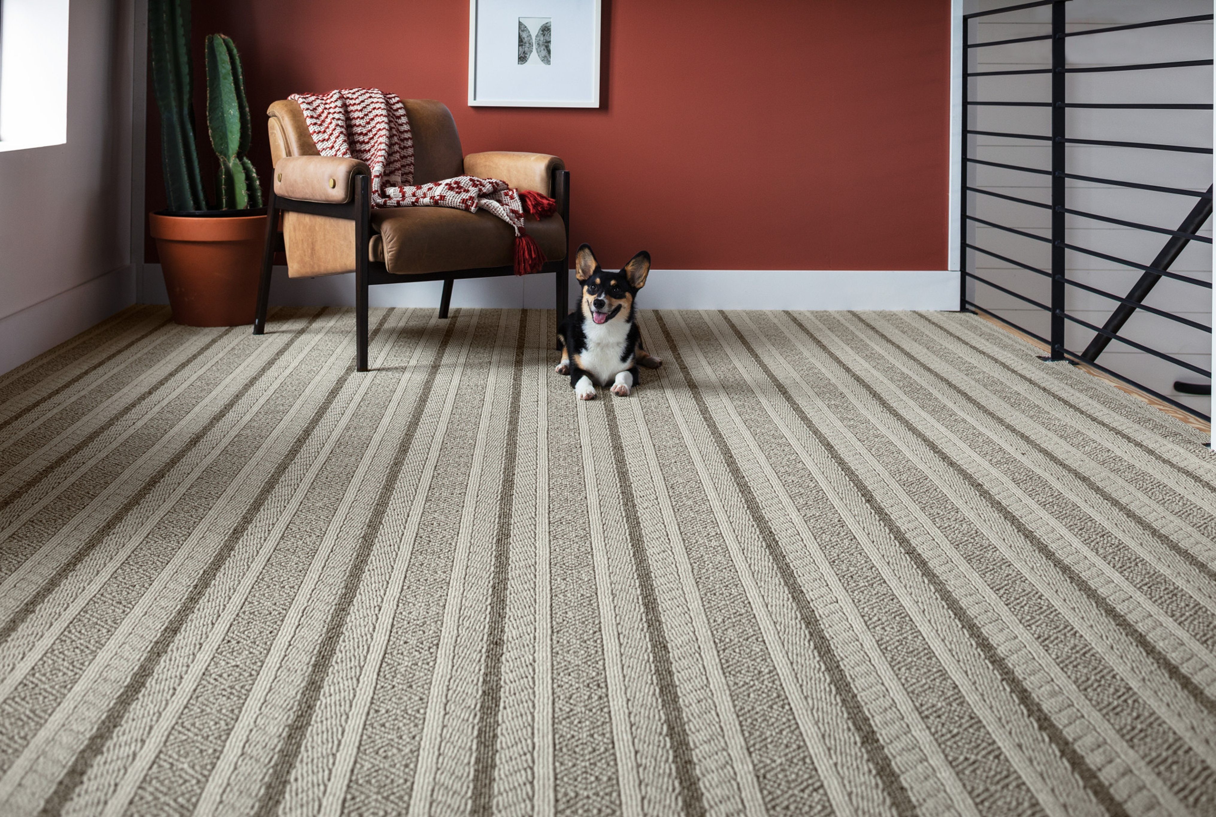 a dog and a chair on a carpet - bdflooringinc