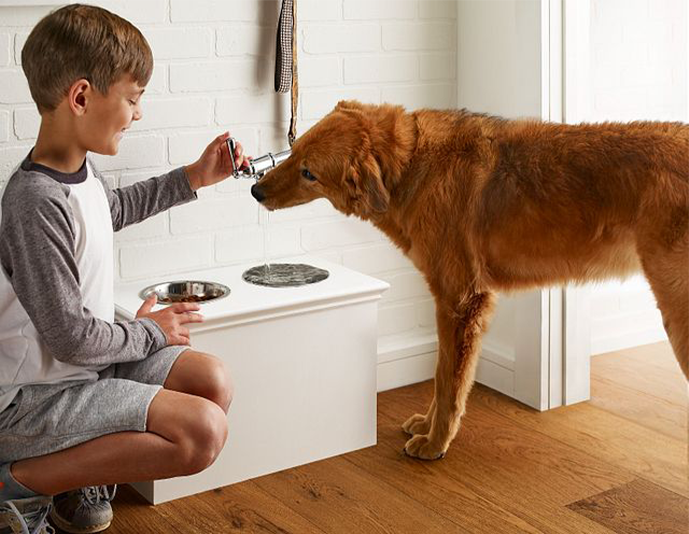 young boy filling up dogs water bowl